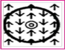 Check all over the breast and get closer to the middle